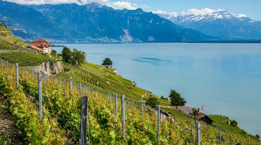Lake Geneva - Switzerland